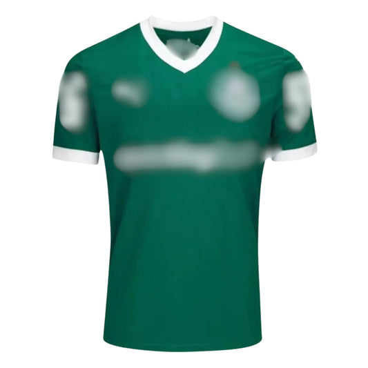 Jersey Palmeiras Home 2025-26 Sponsor Edition